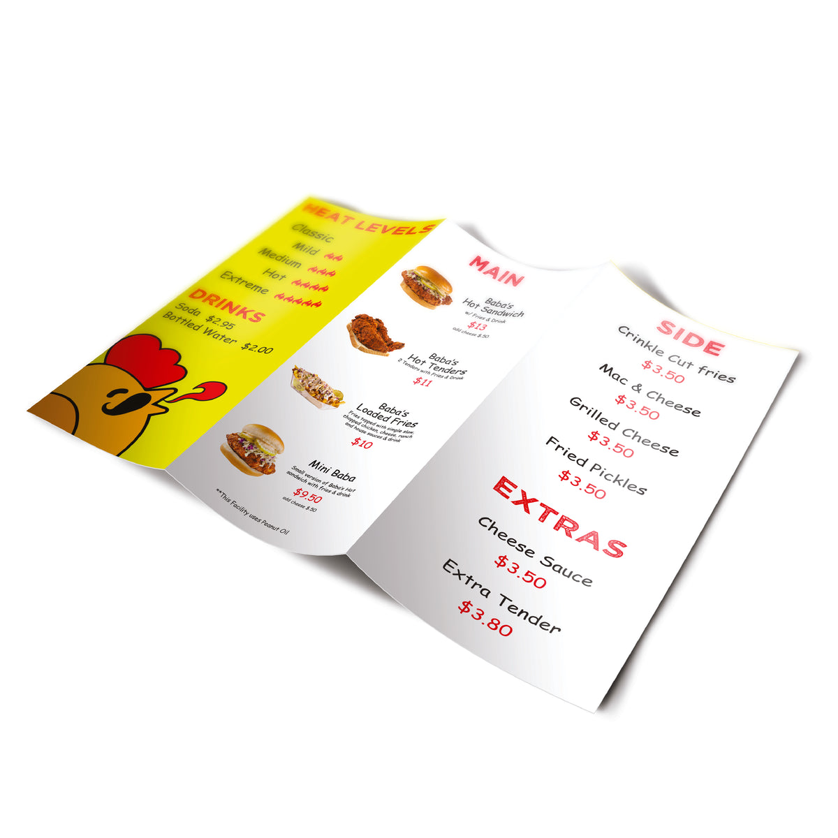 Full Color Brochures / Flyers – product view 1